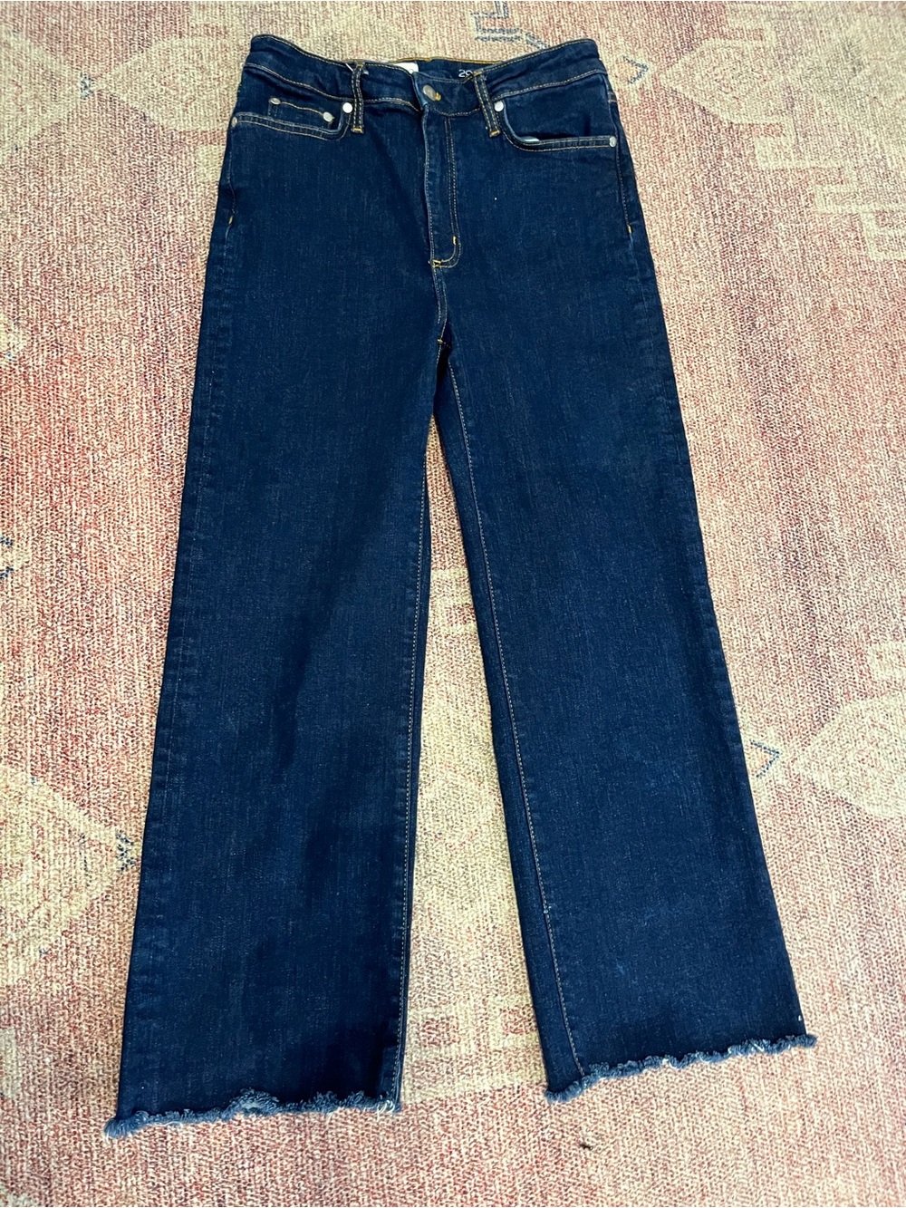 Pilcro Anthropologie dark wash high rise wide leg frayed hem jeans sz 29\8